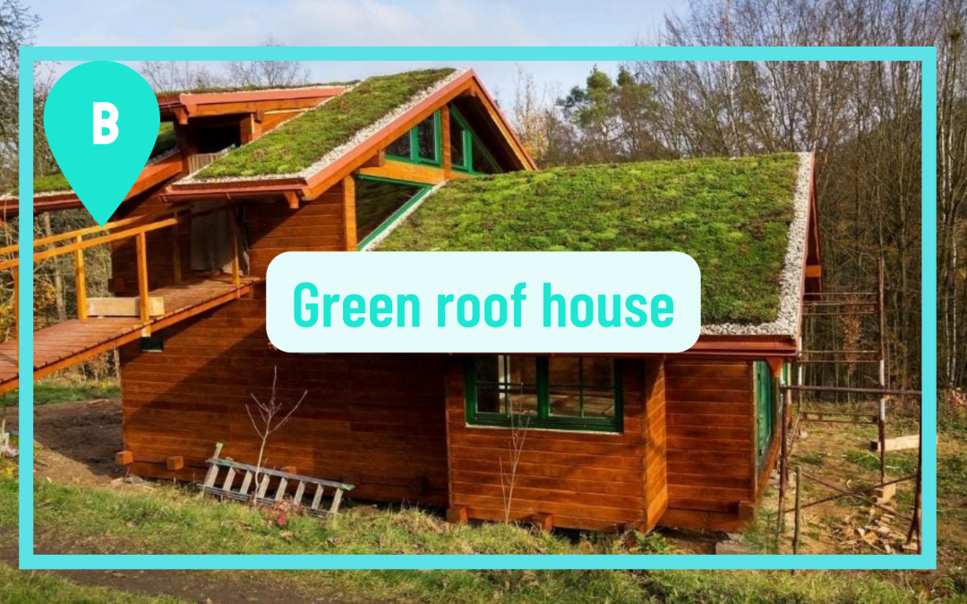 Green roof house designs